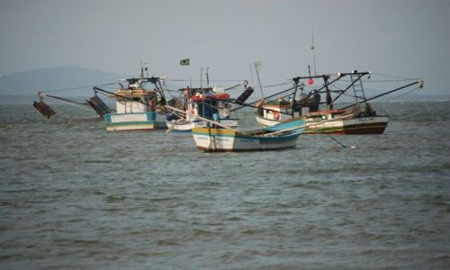 Zdjęcie BRAZYLIA / Wyspa miodowa / Ilha do Mel / Kutry