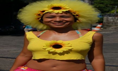 Zdjęcie BRAZYLIA / Dzielnica Santa Teresa / Rio de Janeiro / Brazylijski Słonecznik