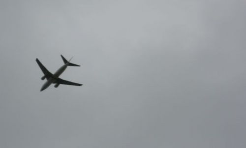 Zdjęcie BRAZYLIA / -Rio / Rio de Janeiro / Powrót do Polski