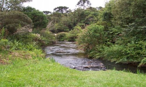 Zdjęcie BRAZYLIA / Stan Santa Catarina / Serra Catarinense / Okolice Urubici