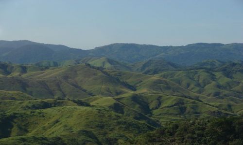 Zdjecie BRAZYLIA / Stan Santa Catarina / Ukolice Urubici / Serra Catarinense