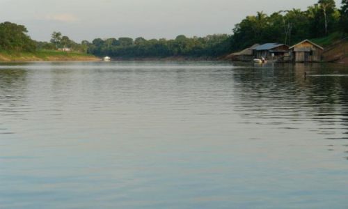 Zdjęcie BRAZYLIA / Pólnoc / Manaus / Amazonia