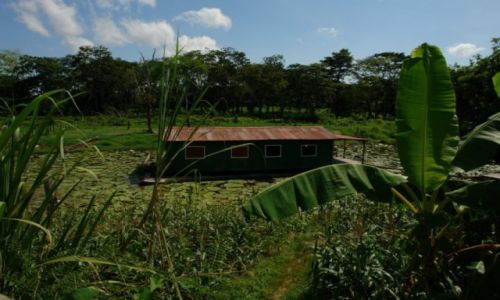 Zdjecie BRAZYLIA / Pnoc / Manaus / Brazylia