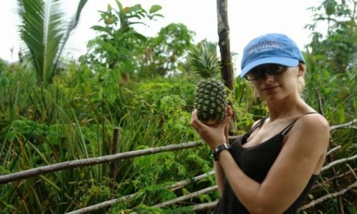 Zdjecie BRAZYLIA / Manaus / Manaus / Ananasy to to co lubie najardziej