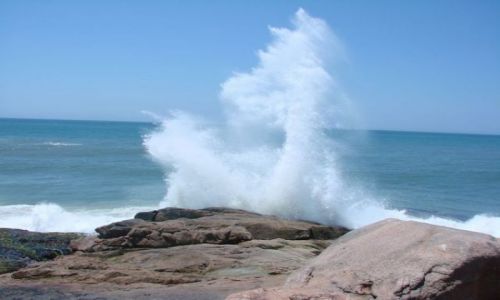 Zdjecie BRAZYLIA / Poudniowa Brazylia / Florianopolis / Wyspa Sana Caterina