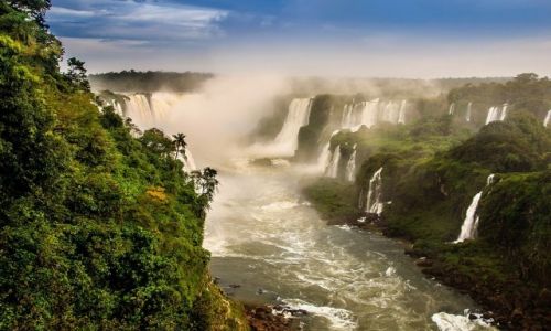 Zdjcie BRAZYLIA / Cataratas del Iguazu / Iguazu / JUNGLE