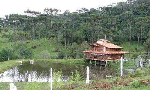 Zdjęcie BRAZYLIA / Santa Caterina / Serra Catarinense / Ololice Urubici