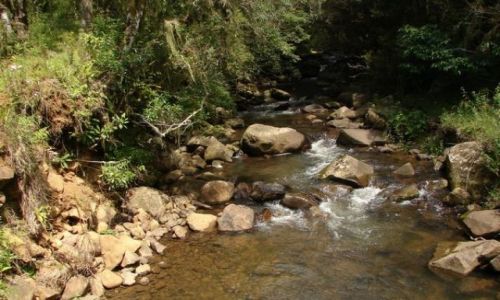 Zdjęcie BRAZYLIA / Santa Caterina / Serra Catarinense / Okolice Urubici