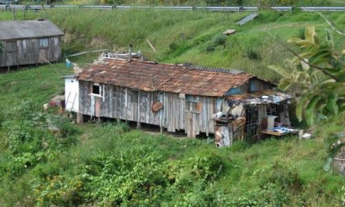 Zdjęcie BRAZYLIA / Santa Caterina / Serra Catarinense / Okolice Urubici