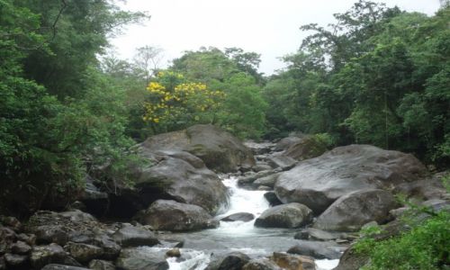 Zdjęcie BRAZYLIA / Sao Paulo / Jureia- Itatins / Górska rzeka