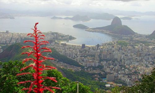Zdjecie BRAZYLIA / Rio de Janeiro / Widok z Corcovado / Rozlegly horyzont