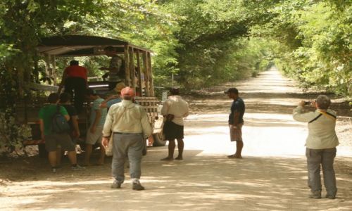 Zdjecie BRAZYLIA / Mato Grosso / Pantanal / Brazylia safari