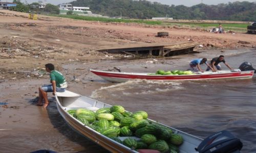 Zdjecie BRAZYLIA / Manaus / Manaus / arbuzowa droga