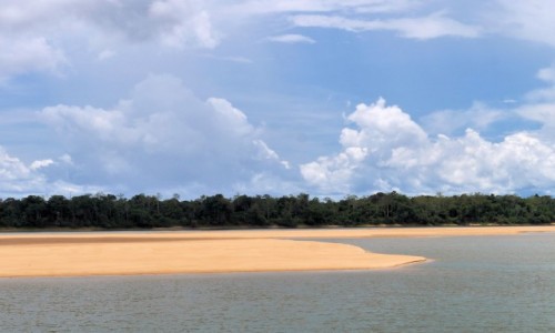 Zdjcie BRAZYLIA / Dorzecza Amazonki / Rzeka Rio Branco / Rejs Rio Branco