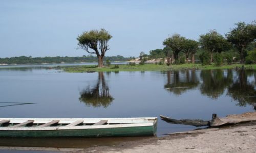 Zdjecie BRAZYLIA / brak / Acajatuba - Amazonia / Amazonia