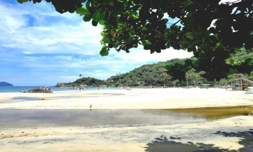 Zdjcie BRAZYLIA / Rio de Janeiro  / Wok wyspy Ilha Grande / Dla mionikw pla