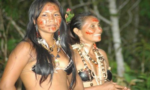 Zdjecie BRAZYLIA / amazonia / okolice Manaus / Triumph by coco nut