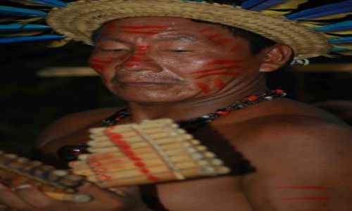 Zdjęcie BRAZYLIA / amazonia / okolice Manaus / janko muzykant