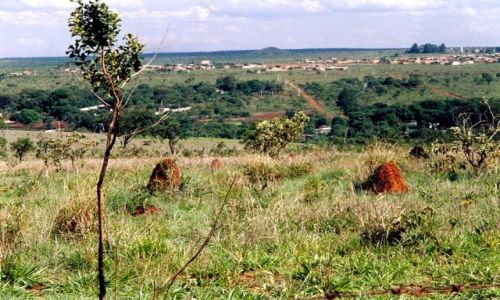 Zdjęcie BRAZYLIA / -Goias / Aquas Lindas / Krajobraz