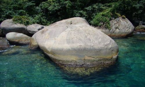 Zdjęcie BRAZYLIA / stan Rio de Janeiro / okolice Parati / kaktus i głazy