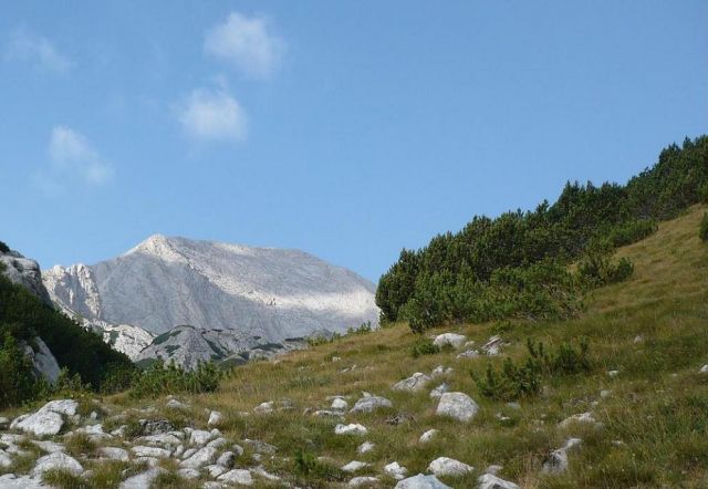 Zdjęcia: Góry Piryn, Góra w bieli , BUłGARIA Zdjęcia: Góry Piryn, Góra w bieli , BUłGARIA