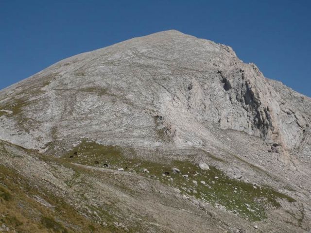 Zdjęcia: Góry Piryn, Widok na Wichren, BUłGARIA Zdjęcia: Góry Piryn, Widok na Wichren, BUłGARIA