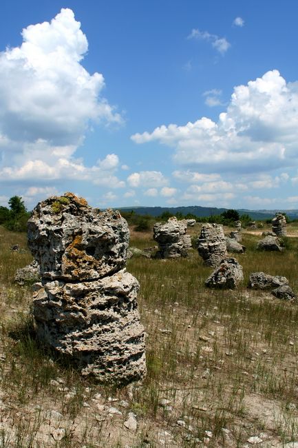 Zdjęcia: Warna, Rezerwat Pobiti Kameni, BUłGARIA Zdjęcia: Warna, Rezerwat Pobiti Kameni, BUłGARIA