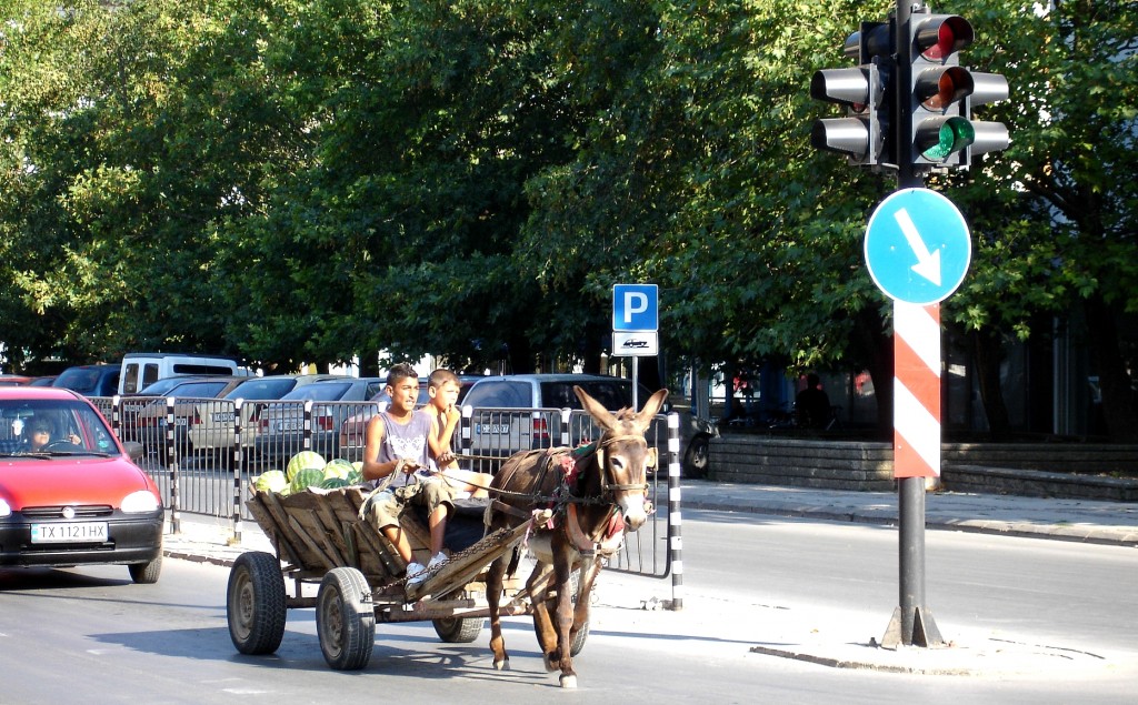 Zdjęcia: Złote Piaski, Obwód Warny, Slow Food, BUłGARIA Zdjęcia: Złote Piaski, Obwód Warny, Slow Food, BUłGARIA