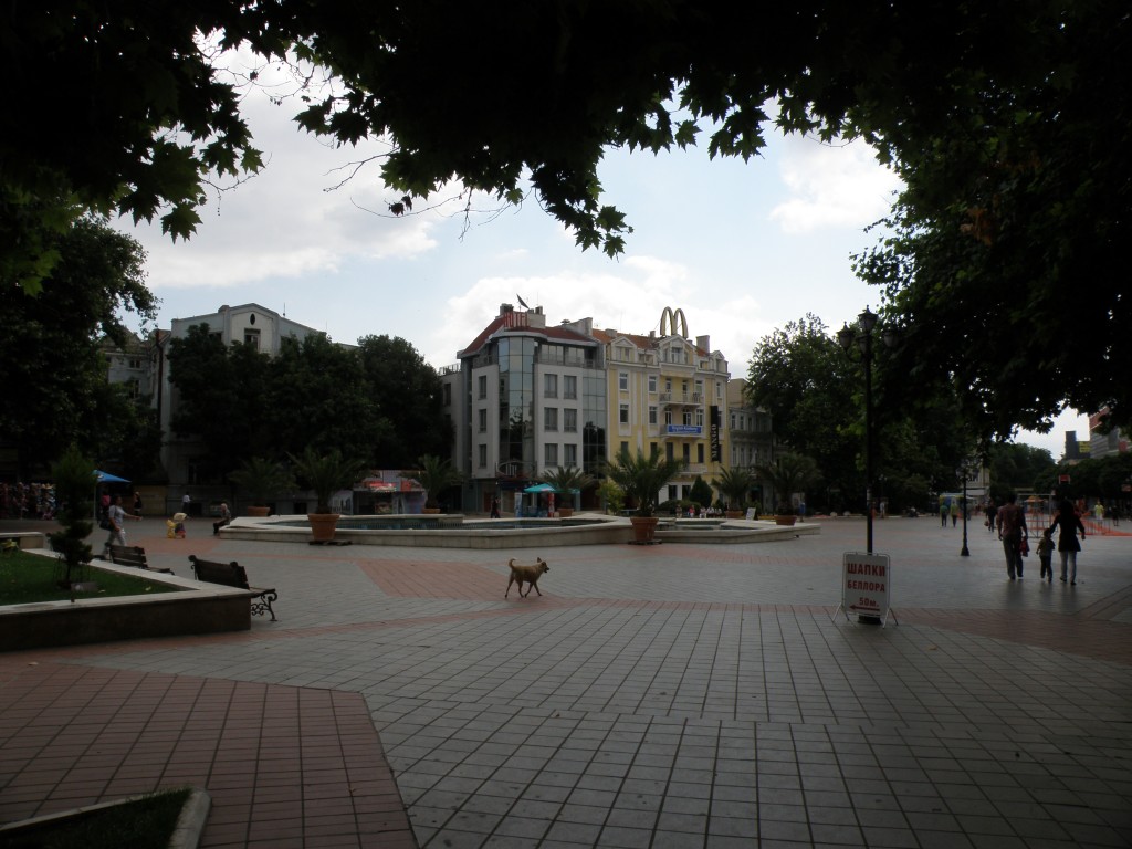 Zdjęcia: WARNA , WARNA , WARNA , BUłGARIA Zdjęcia: WARNA , WARNA , WARNA , BUłGARIA