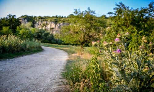 Zdjecie BUGARIA / Iwanowo / Iwanowo / Przyroda Iwanowa