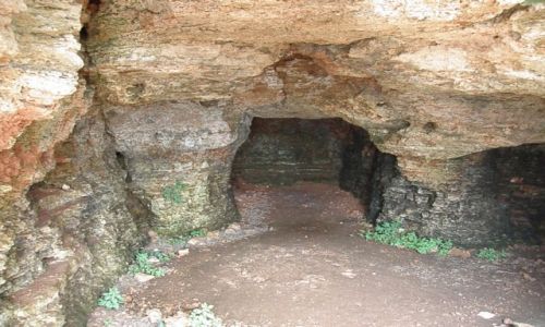 Zdjcie BUGARIA / DOBRICZ / KAMIENNY BRZEG  / Rezerwat Jaiata 
