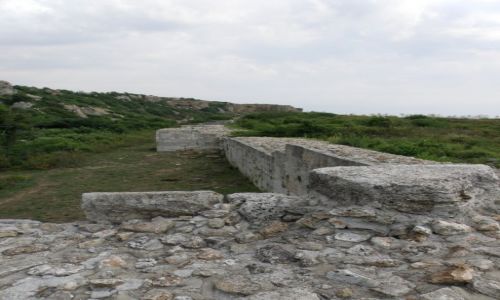 Zdjcie BUGARIA / DOBRICZ / KAMIENNY BRZEG  / Rezerwat Jaiata 