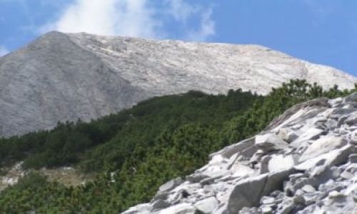 Zdjęcie BUłGARIA / Góry Pirin / szlak zielony ze schroniska Banderica / Wichren -  ściana północna