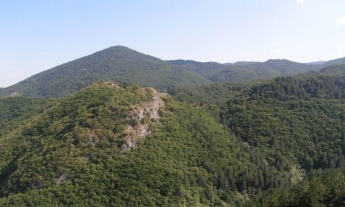 Zdjęcie BUłGARIA / Pirin / Przełęcz Prislop / Zalesione pasmo gór