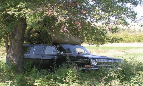 Zdjecie BUłGARIA / Pirin / Goce Delczew / Sposób transportu siana