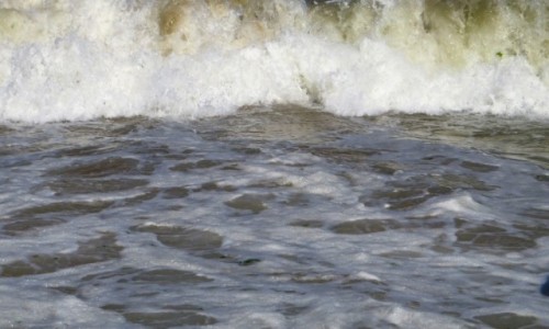 Zdjcie BUGARIA / okolice Warny / Zote Piaski / zagniewane morze