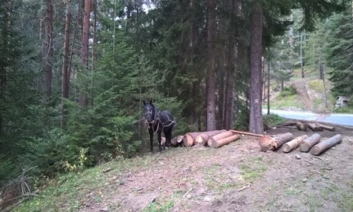 Zdjcie BUGARIA / Rila / Rila / ICAN4x4