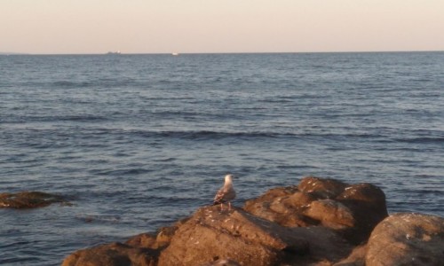 Zdjecie BUGARIA / - / Sozopol / Sozopolskie klimaty