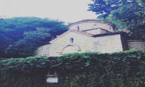 Zdjcie BUGARIA / Baczik  / Baczik ogrody  / Cerkiew 