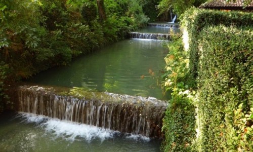 Zdjcie BUGARIA / okolice Warny / Baczik / park