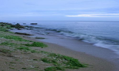 Zdjęcie BUłGARIA / Warna / Chaika / Brzeg
