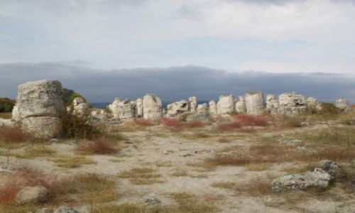 Zdjcie BUGARIA / Okolice Warny / Rezerwat 