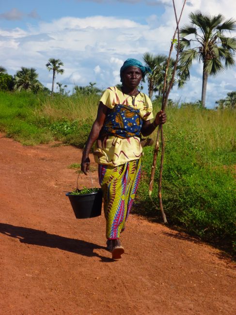 Zdjęcia: okolice Banfory, Kobieta pracująca., BURKINA FASO Zdjęcia: okolice Banfory, Kobieta pracująca., BURKINA FASO