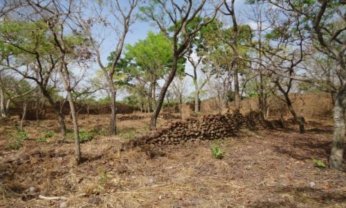 Zdjcie BURKINA FASO / Poni / Loropeni / Ruiny Loropeni (3)
