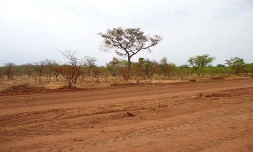 Zdjcie BURKINA FASO / Comoe / okolice Banfory / Droga