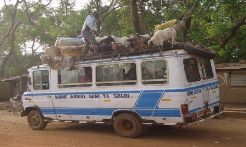 Zdjecie BURKINA FASO / Nahouri / Tiebele / Transport lokalny