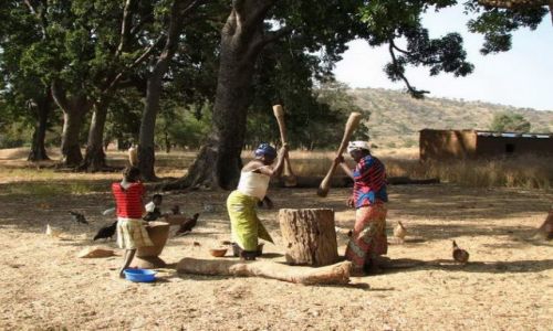 Zdjcie BURKINA FASO / - / TIEBELE / o poranku