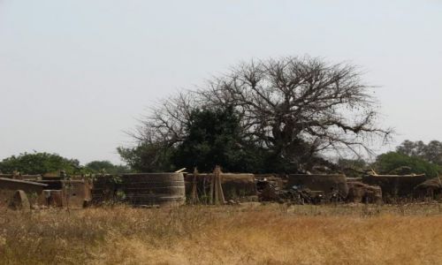 Zdjęcie BURKINA FASO / - / okolica KASSATONGO / wiejska zagroda