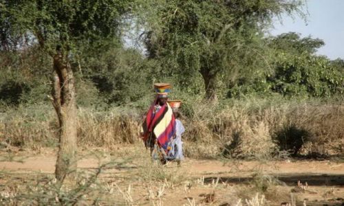 Zdjcie BURKINA FASO / - / GOROM GOROM / w drodze