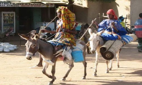 Zdjcie BURKINA FASO / - / GOROM GOROM / na czwartkowym targu